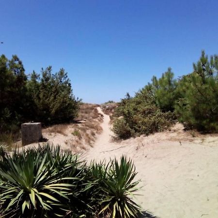 Casa Nel Parco Sulla Spiaggia Piza Zewnętrze zdjęcie