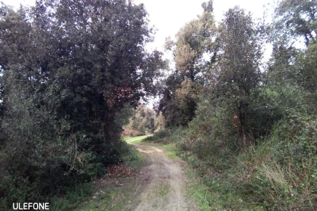 Casa Nel Parco Sulla Spiaggia Piza Zewnętrze zdjęcie