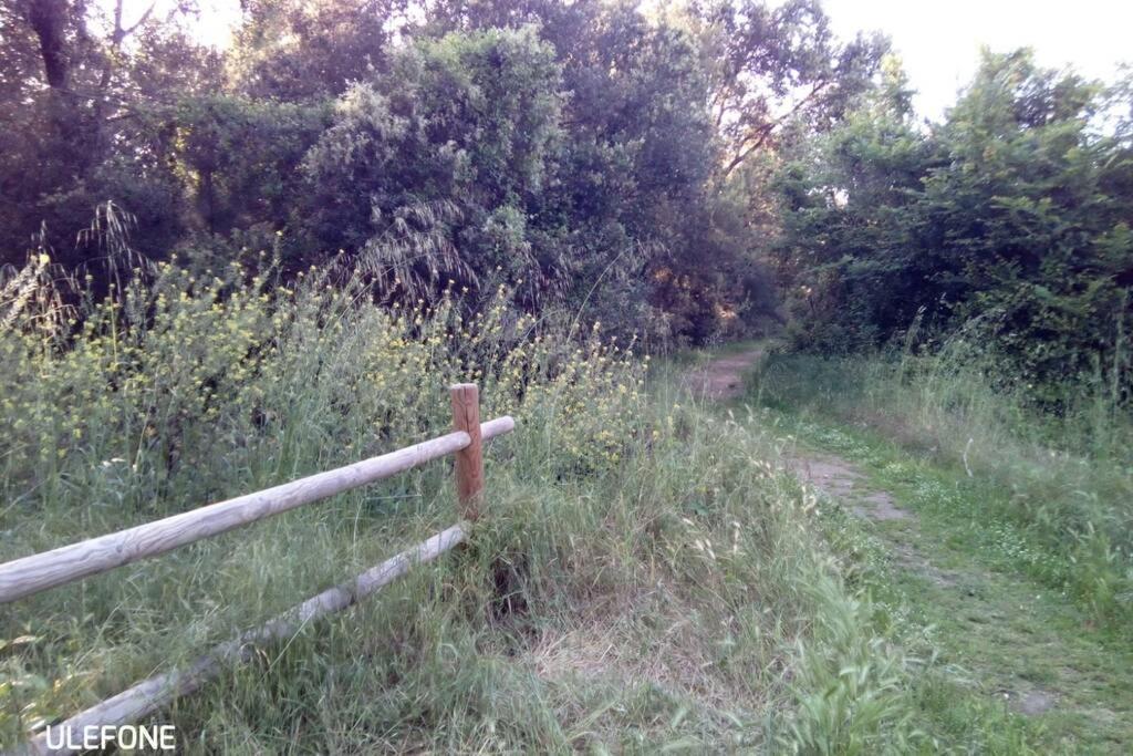 Casa Nel Parco Sulla Spiaggia Piza Zewnętrze zdjęcie