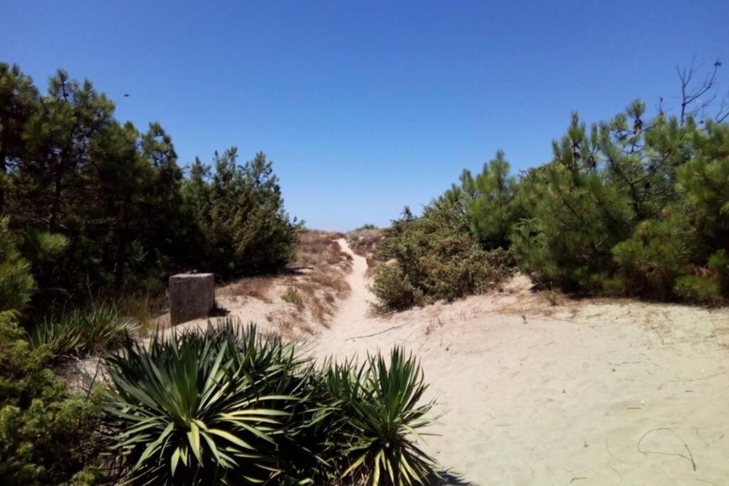 Casa Nel Parco Sulla Spiaggia Piza Zewnętrze zdjęcie