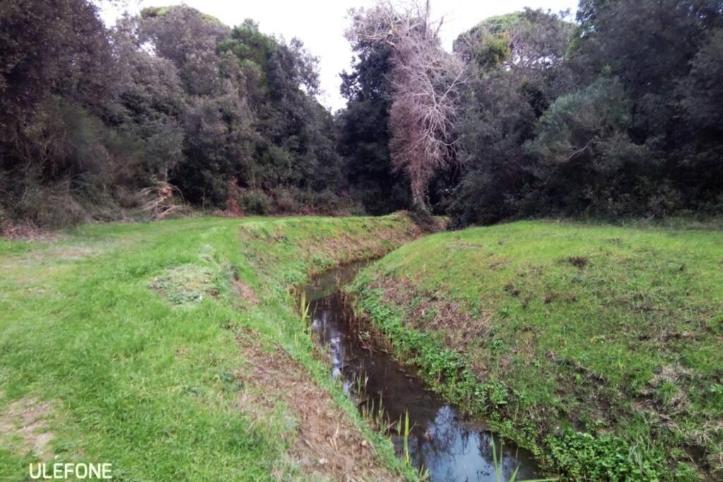 Casa Nel Parco Sulla Spiaggia Piza Zewnętrze zdjęcie
