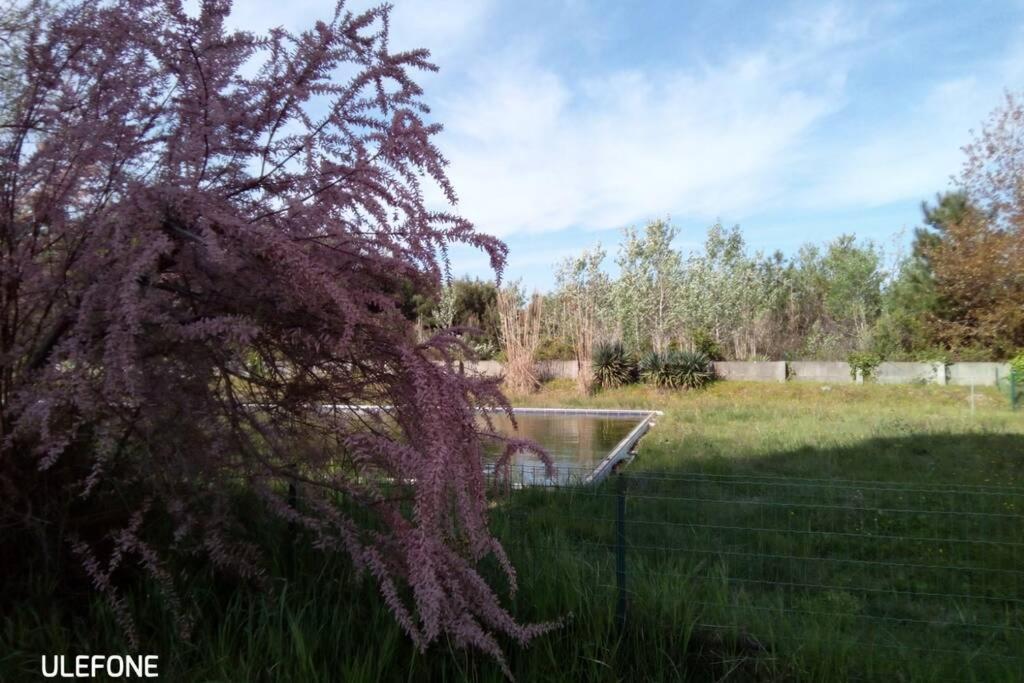 Casa Nel Parco Sulla Spiaggia Piza Zewnętrze zdjęcie