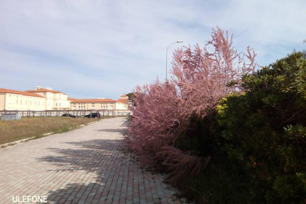 Casa Nel Parco Sulla Spiaggia Piza Zewnętrze zdjęcie